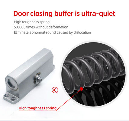 45-65kg Max Door Weight Aplikasi aman Auto Sliding Door Closer dalam paduan aluminium
