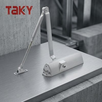 Harga bagus Perlengkapan Pabrik Penutup Pintu Hidraulik yang Dapat Disesuaikan untuk Pintu Baja Gaya Desain Modern on line
